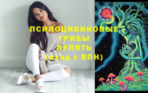 винт Баксан