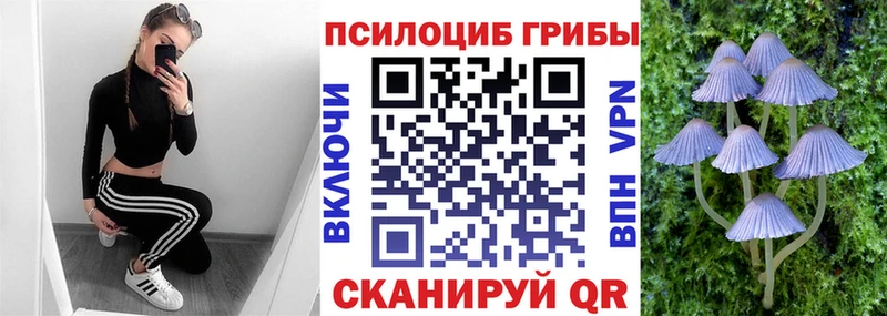 Псилоцибиновые грибы мицелий  Белокуриха 